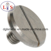 Ss 304 Flat Head Slotted Bolt avec haute qualité